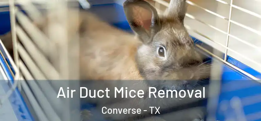 Air Duct Mice Removal Converse - TX