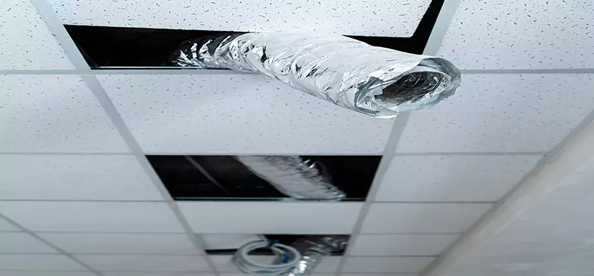 Our Air Duct Pet Hair Removal Services in Converse, TX