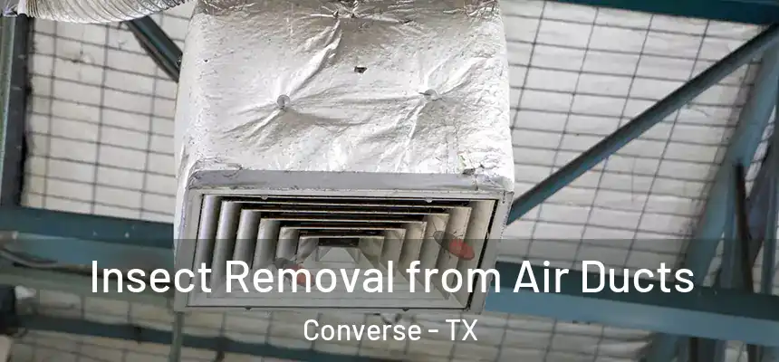  Insect Removal from Air Ducts Converse - TX