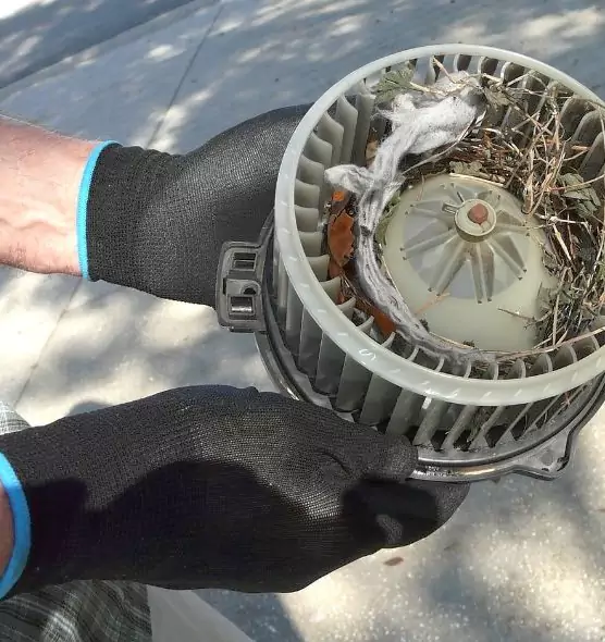 About Air Duct Rat Removal in Converse, TX