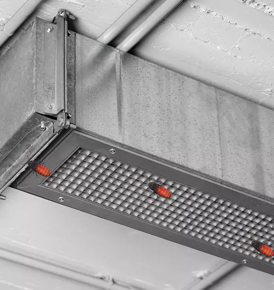 Affordable Insect Removal from Air Ducts in Converse, TX