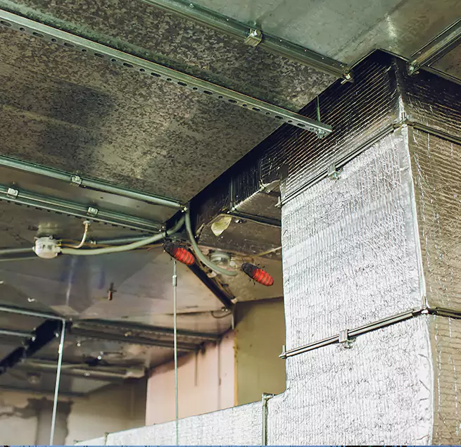 Why Homeowners & Businesses Trust Us in Converse, TX?