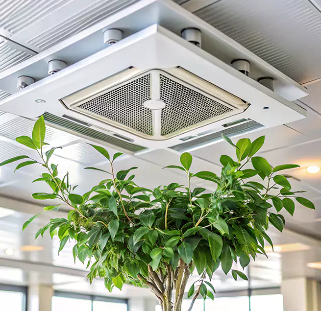 Why Homeowners & Businesses Trust Us in Converse, TX?