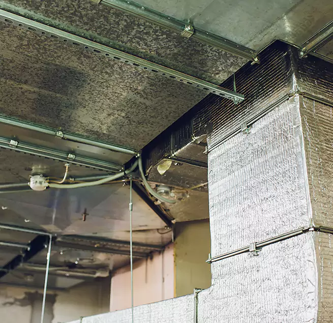 Why Homeowners & Businesses Trust Us in Converse, TX?